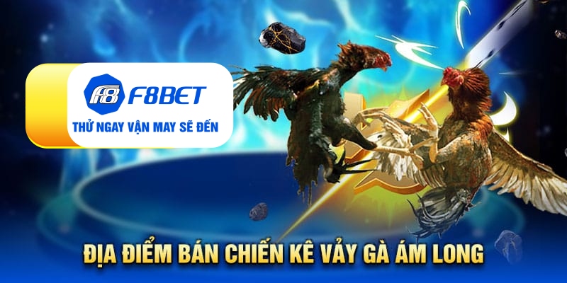 Địa điểm bán chiến kê vảy gà ám long