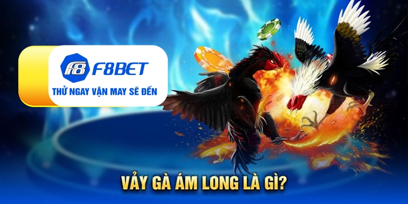 Vảy gà ám long là gì?