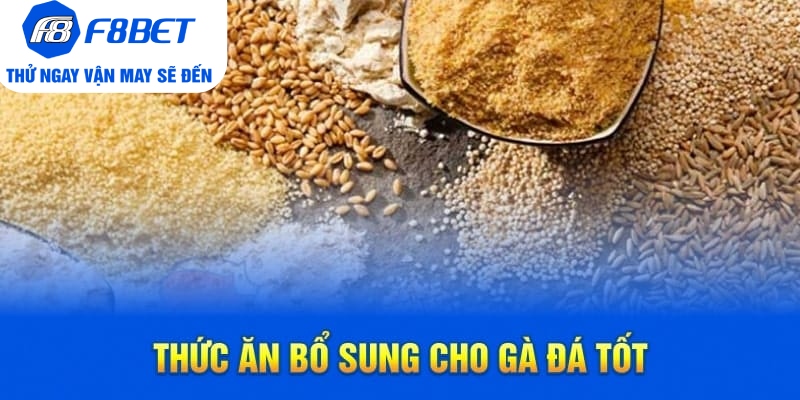 Thức Ăn Bổ Sung Cho Gà Đá Tốt Mà Bạn Nên Ghi Nhớ
