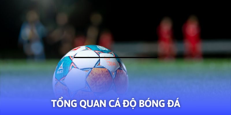 Tổng quát đầu tư túc cầu tại sân chơi
