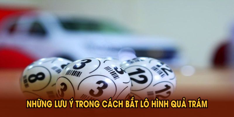Những lưu ý trong cách bắt lô hình quả trám bạn cần nhớ